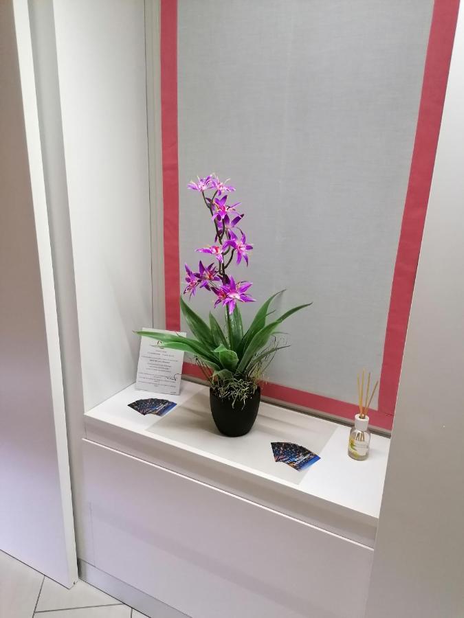 Accomodation Verona - City Centre Екстер'єр фото